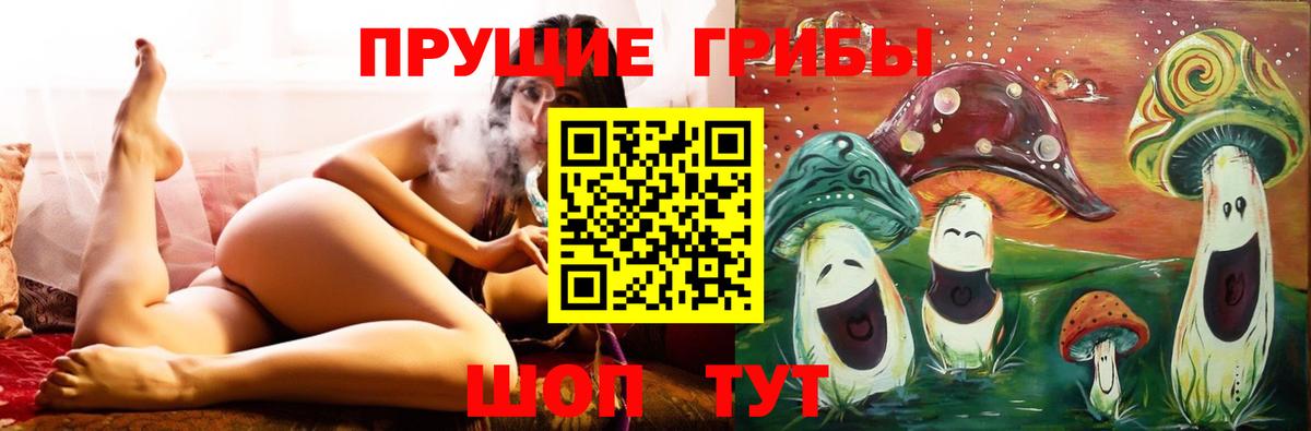 Псилоцибиновые грибы MAGIC MUSHROOMS Полысаево